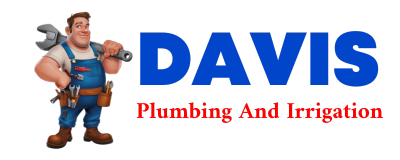 Trusted plumber in DE BORGIA